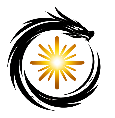 DragonCode logo